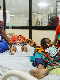 12 trẻ sơ sinh tử vong trong cùng một ngày ở bệnh viện Ấn Độ