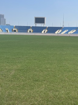 Câu hỏi nóng vụ Khu liên hợp thể thao bị thua kiện, tuyển thủ bóng bàn trẻ kêu đói