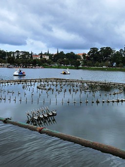 Khẩn trương sửa chữa đưa hệ thống nhạc nước trên hồ Xuân Hương vào khai thác
