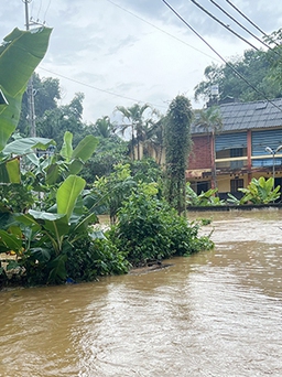 Hai vợ chồng tại Yên Bái tử vong do sạt lở đất trong mưa lớn