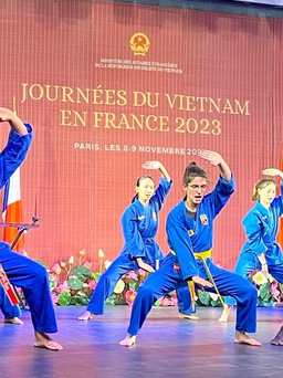 Ấn tượng vovinam tại sự kiện 'Ngày Việt Nam tại Pháp 2023'