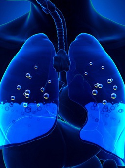 Những tác hại của lười uống nước đến phổi?