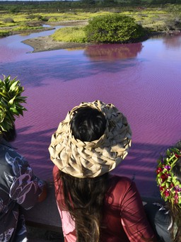 Bí ẩn hồ nước chuyển màu hồng ở Hawaii