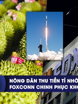 CHUYỂN ĐỘNG KINH TẾ ngày 13.11: Nông dân thu tiền tỉ nhờ trúng mùa | Foxconn chinh phục không gian