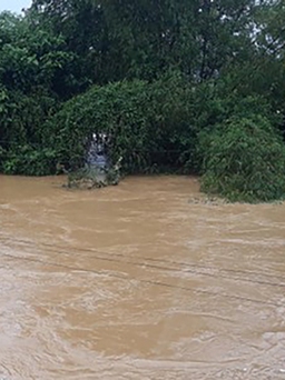 Công bố tình huống khẩn cấp về thiên tai trên 2 nhánh sông Phước Giang