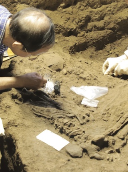 Phát hiện nhiều mộ táng có niên đại khoảng 10.000 năm ở Hà Nam