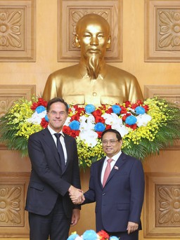 Hà Lan hỗ trợ Việt Nam triển khai quy hoạch Đồng bằng sông Cửu Long