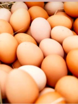 Chuyên gia chia sẻ những lý do nên ăn trứng