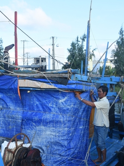 Rà soát bổ sung tàu cá ngư dân Quảng Ngãi chưa đăng ký, đăng kiểm