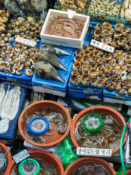 Khu chợ Noryangjin - Thiên đường hải sản tươi sống tại Seoul