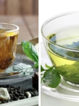 Nên uống trà xanh hay trà đen?
