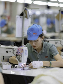 Hơn 50% sản phẩm của các cửa hàng Uniqlo Việt Nam là 'Made in Vietnam'