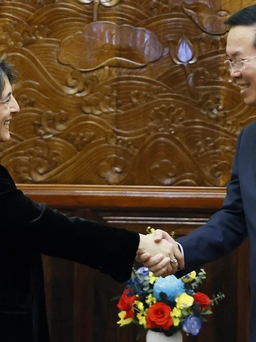 Thúc đẩy mạnh mẽ quan hệ hợp tác Việt Nam - Tây Ban Nha