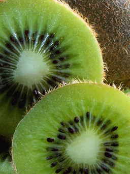 Thêm nhiều lợi ích từ trái kiwi