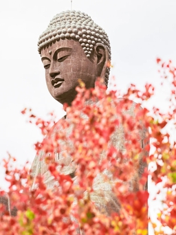 Đại tượng Phật bằng đồng cao 120 m thu hút du khách Việt khi đến Nhật Bản