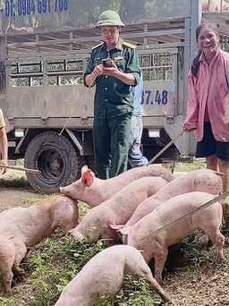 Lợn, dê cấp cho hộ nghèo Quảng Bình chết hàng loạt: Đơn vị cung ứng nói 'do chăm sóc sai'