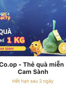 Saigon Co.op cùng MoMo bán 100 tấn cam sành cho nông dân Vĩnh Long
