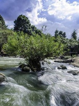 Chơi 'tới bến' ở Đồng Nai bạn đã biết địa điểm này?