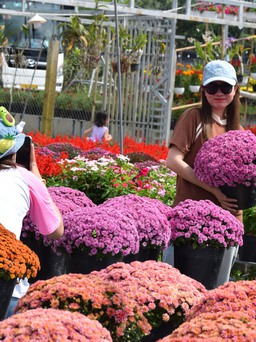 Khai mạc Festival hoa kiểng Sa Đéc: Thay đổi tư duy kinh tế hoa kiểng