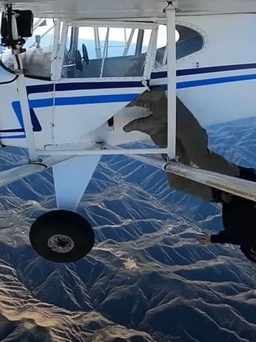 6 tháng tù cho YouTuber dàn cảnh rơi máy bay câu view ở Nam California