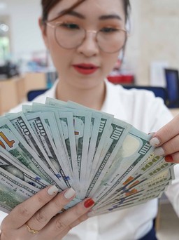 Giá USD hôm nay 7.12.2023: 'Đô' tăng, các ngoại tệ khác giảm sâu