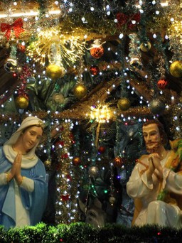 Xóm đạo ở TP.HCM đón Giáng sinh, người Công giáo háo hức dựng hang đá, cây thông