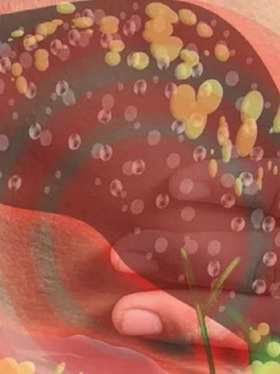 Cách tập thể dục giúp giảm mỡ trong gan