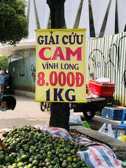 Trái cây rớt thảm, giá nào cũng có