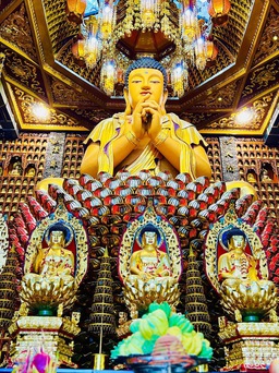 Ngôi chùa có hơn 10.000 tượng Phật ở TP.HCM