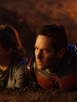 'Ant-Man and the Wasp: Quantumania' đạt 46 triệu USD trong ngày khởi chiếu ở Bắc Mỹ