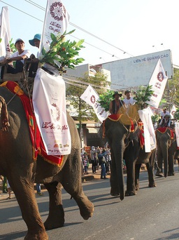 Lần đầu tiên lễ hội cà phê không tổ chức đua voi, tái hiện cảnh săn bắt voi...