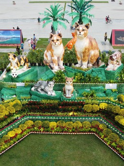 Các linh vật Mèo xuân Quý Mão ở Bình Định sẽ được bàn giao hướng xã hội hóa