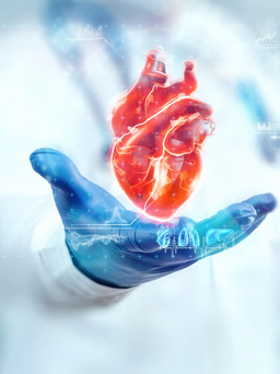 Trung Quốc phát triển keo 2 mặt dán mô tổn thương sau đau tim