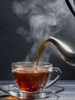 5 loại trà được khoa học chứng minh giúp kéo dài tuổi thọ