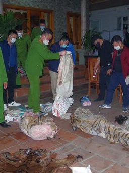 Giết hổ nấu cao, nguyên chủ tịch xã ở Thái Nguyên bị phạt 36 tháng tù