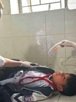 11 học sinh ở Hà Tĩnh bị ngộ độc sau khi ăn quả ngô đồng