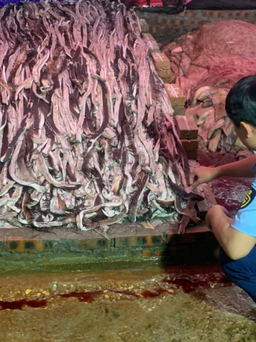 Ngăn chặn hơn 11 tấn thịt trâu, da trâu hôi thối tuồn ra thị trường