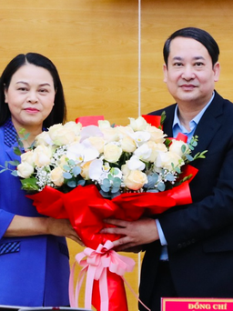 Ông Mai Văn Tuất điều hành Tỉnh ủy Ninh Bình