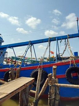 Cà Mau: Bắt giữ tàu cá chở khoảng 47.000 lít dầu DO không rõ nguồn gốc