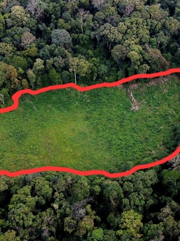 Kon Tum: Kỳ lạ lô đất giữa rừng bị rao bán
