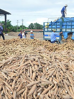 Trung Quốc chỉ định 2 cửa khẩu nhập khẩu lương thực từ Việt Nam