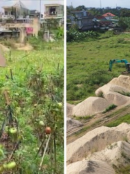 Sân vận động tại khu đất vàng bị bỏ hoang thành nơi vứt rác, trồng cây, chứa cát
