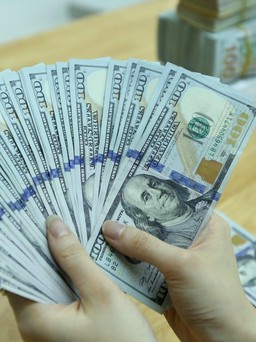 Giá USD hôm nay 25.3.2023: Cùng tăng cả trong và ngoài nước