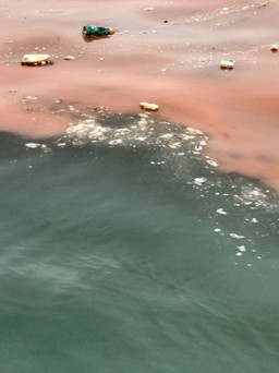 Hải Phòng: 'Thủy triều đỏ' và rác thải bủa vây vịnh Lan Hạ - Cát Bà