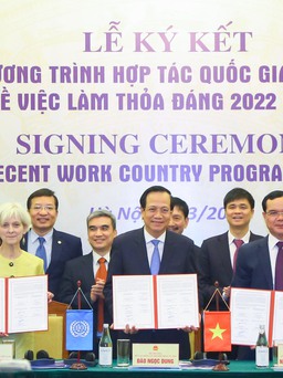 Việt Nam và ILO hợp tác về việc làm, an sinh xã hội