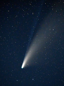 Sao chổi mới được phát hiện tiến gần mặt trời: Ở Việt Nam quan sát được không?