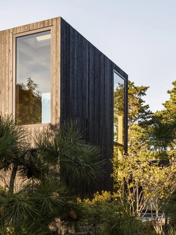'Ẩn mình' trong ngôi nhà gỗ bên rừng với lối kiến trúc hiện đại