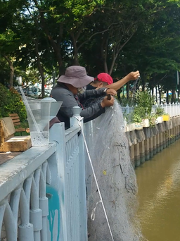 Đánh bắt cá kiểu tận diệt ở kênh Nhiêu Lộc - Thị Nghè TP.HCM