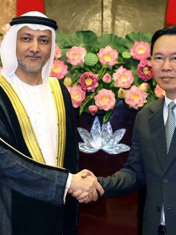 Việt Nam tăng cường hợp tác với UAE, Sri Lanka và Chile