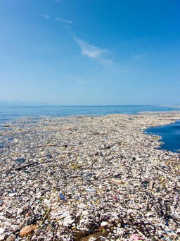 Tiết lộ mới về bãi rác nổi khổng lồ ở Thái Bình Dương